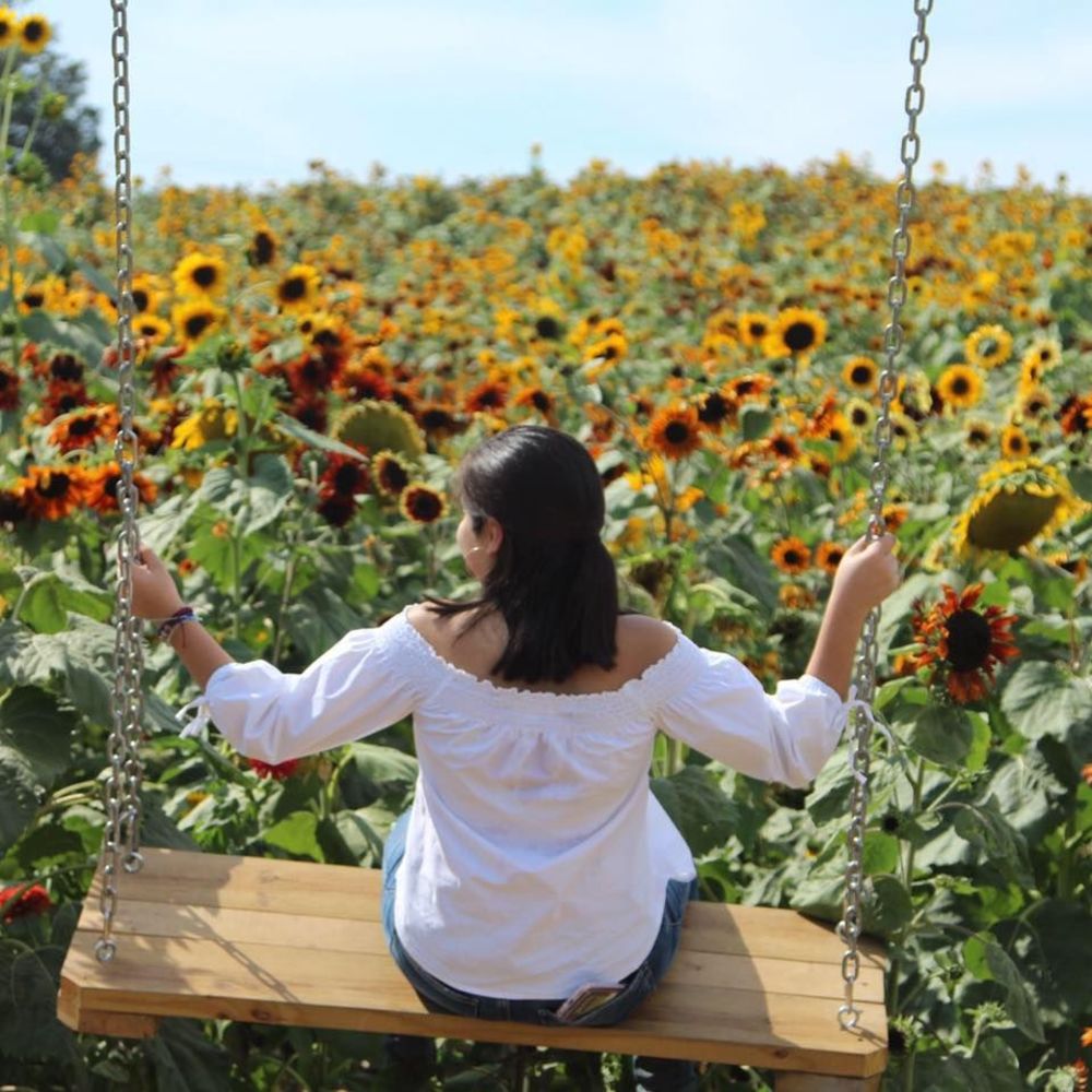 Meet your Posher, Adriana